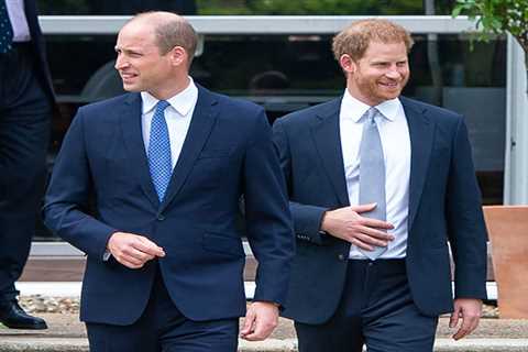 BBC receives almost 1,000 complaints over Prince William and Harry Princes and the Press doc that..