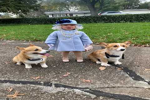 Young girl receives sweet letter from Windsor Castle after dressing up as the Queen with her corgis