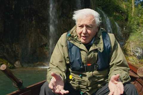 Stunned The Green Planet viewers all say the same thing about David Attenborough after episode two