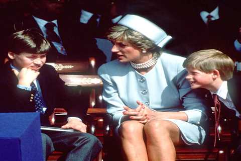 Prince Harry’s bold remark after Prince William told Princess Diana that he ‘didn’t want to be king’