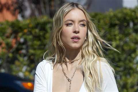 Sydney Sweeney Meets Up with Friends for Icy Treat in LA