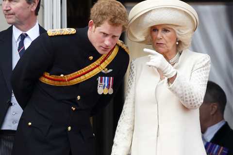 Prince Harry ‘will attack Camilla and blame her for his mental health’ in upcoming autobiography,..