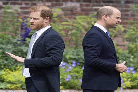 Harry ‘vented’ about William long before Megxit & held rivalry over brother’s conservation work,..