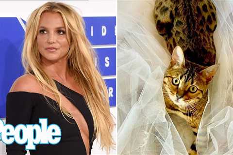 Britney Spears Shares Glimpse of Wedding Look | PEOPLE