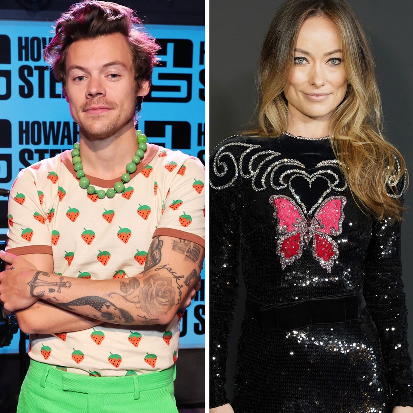 Harry Styles and Olivia Wilde Comment on 'Sh-tstorm' of 'Toxic Negativity' About Their Relationship