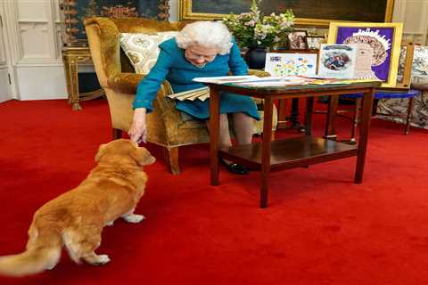 Prince Andrew to be left Queen’s three surviving corgis as fate of Her Majesty’s beloved pets is..