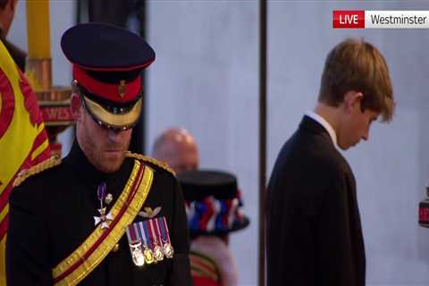 Prince Harry finally gets to wear military uniform as he guards Queen coffin with William and her..