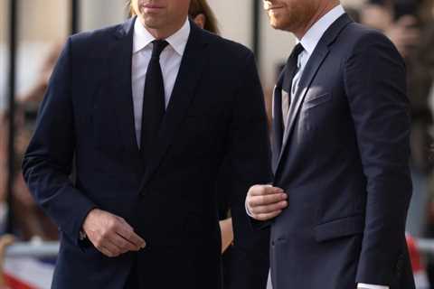 Prince Harry ‘refused to meet his brother after William reached out’ before Megxit as he was..