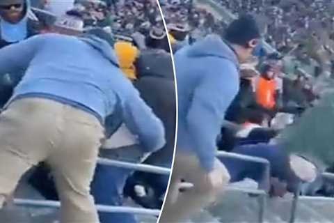 Video emerges of fan being thrown down stadium stairs in wild Packers-Bears fight