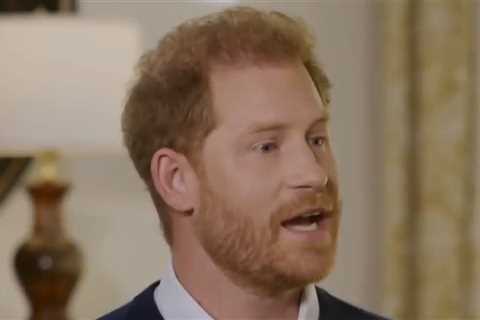 Prince Harry Wants Brother, Father Back Amid Royal Family Drama