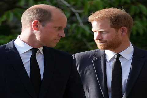 Prince Harry says William ‘attacked’ him & left him knocked to the floor after calling Meg..