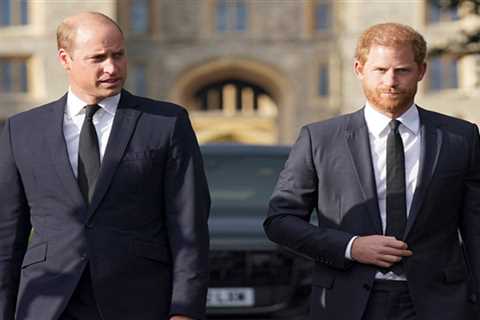 Prince Harry reveals the nicknames he uses with William amid brothers’ bitter feud – which exploded ..