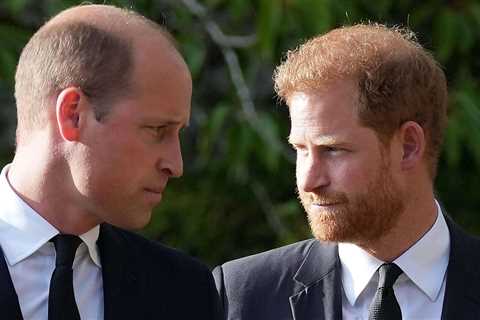 Inside Harry and William’s bitter feud as Duke of Sussex brands his brother his arch nemesis & Kate ..