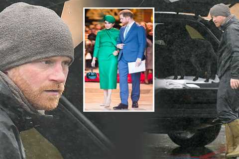 Prince Harry seen on dog walk as he breaks cover for first time after unleashing explosive claims..