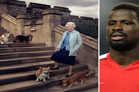 Former Arsenal star Eboue told the Queen he would quit football and look after her corgis cracking..