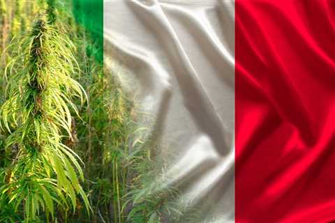 Italian Court Rules Hemp Flowers, Leaves are Not Narcotics