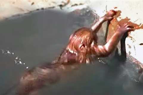 20 Mermaid Sightings You Won''t Believe Are Real