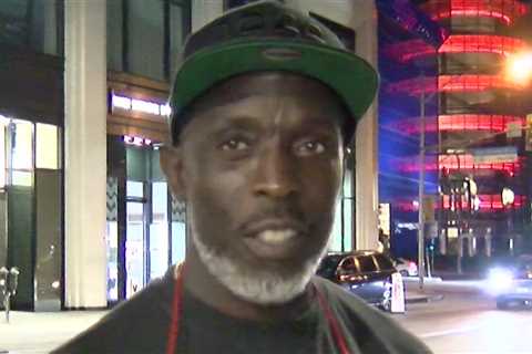 'The Wire' Star Michael K. Williams' Drug Dealer Pleads Guilty in Overdose Death Case