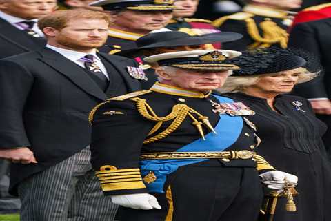 I’m a royal expert – Prince Harry is going to Coronation for 3 reasons… here’s how it will affect..