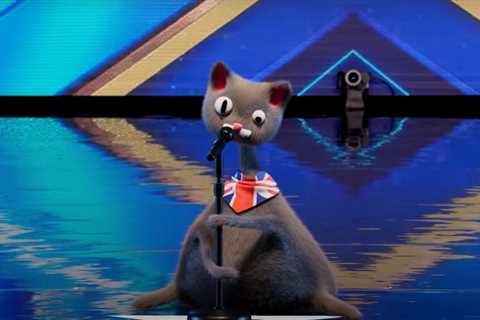 Britain’s Got Talent fans insist they’ve ‘worked out’ who is behind Noodle the cat act – and it’s a ..
