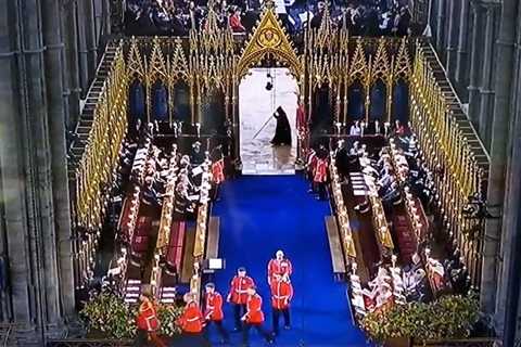 Royal fans left terrified after spotting the ‘Grim Reaper’ at the coronation – but did you spot it?