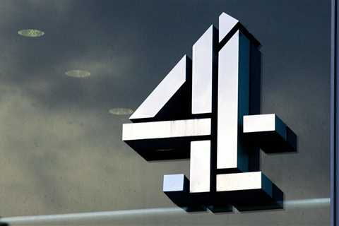 Channel 4 axes reality show after heated backlash from fans