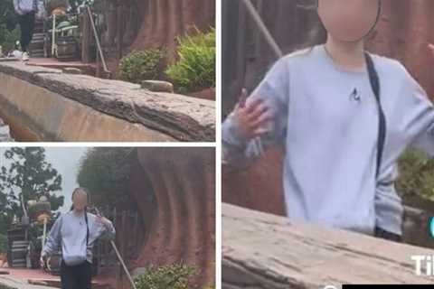 Splash Mountain Rider Has 'Panic Attack', Jumps Out: Video