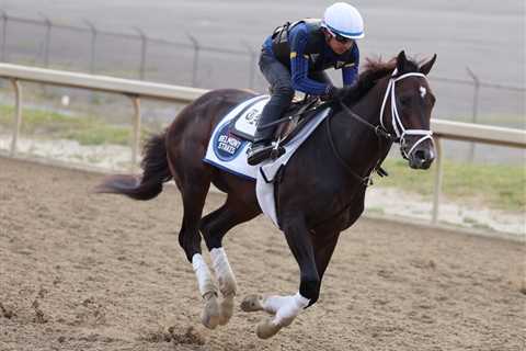 Belmont Stakes 2023 predictions, odds, best bets: Expert picks to win