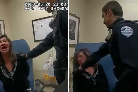 New Video Shows Colorado Cop Slugging Cuffed Woman in Face