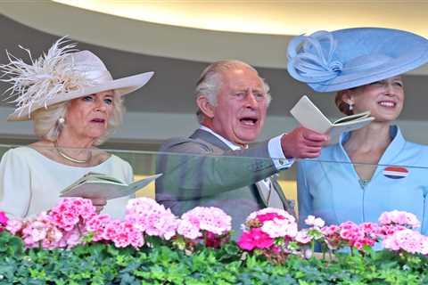 King Charles laughs with comedy star at Ascot as he cheers from the stands with Queen Camilla