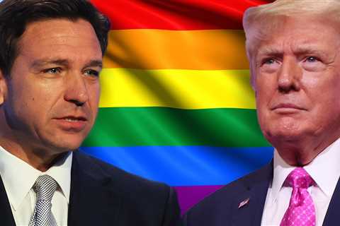 Ron DeSantis Anti-Trump Pride Advertisement Backfires, Twitter Roasts Him