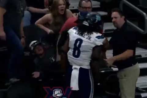 Scary Indoor Football League brawl spills into stands as player confronts fan