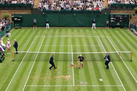 Protesters halt play at Wimbledon after throwing jigsaw puzzle onto court