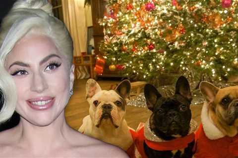 Lady Gaga Gets $500k Dog Reward Lawsuit Tossed