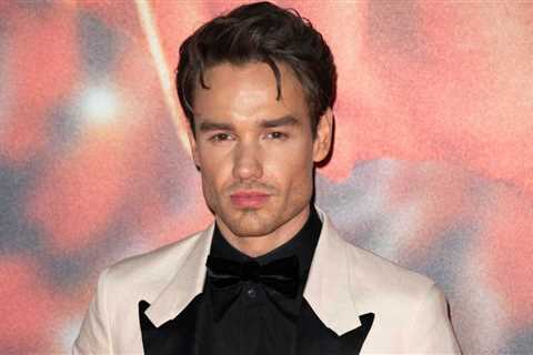 Liam Payne Went to Sobriety Treatment Center for 100 Days After One Direction Backlash