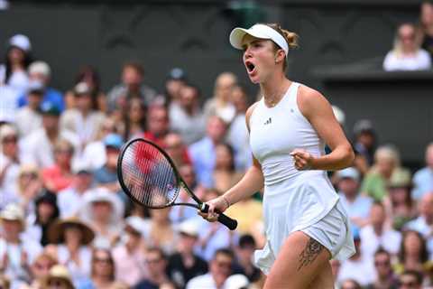 Harry Styles invites Elina Svitolina to concert after Wimbledon run halts plans