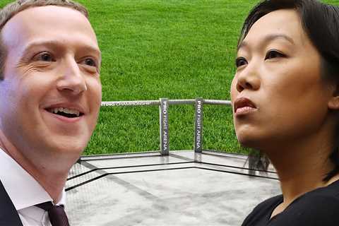 Mark Zuckerberg's Wife Ticked Over His Decision To Build Backyard Octagon