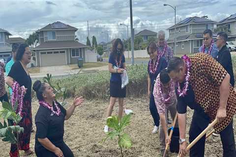 The Filipino Community in Hawaii: Challenges and Contributions