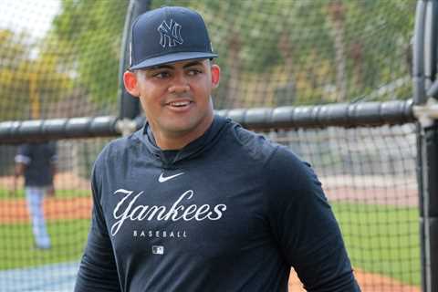 Yankees’ Jasson Dominguez, Austin Wells set for first test in MLB