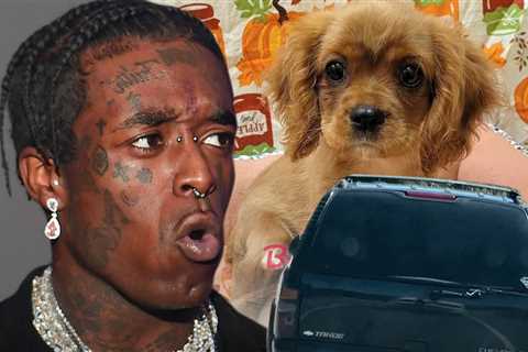 Lil Uzi Vert Mistakenly Identified as Puppy Thief in PA Police Bulletin