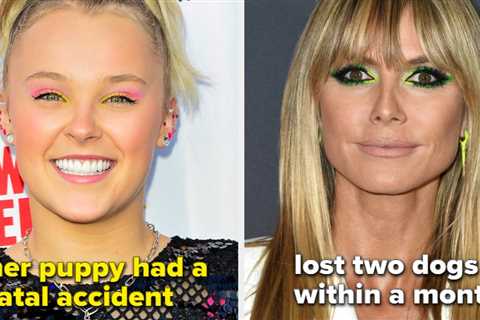 Celebrities Have Lost Pets In Really Tragic Ways This Year — Here Are 18 Celebs Whose Pets Died In..