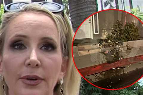 'RHOC' Shannon Beador Getting Treatment After DUI Arrest