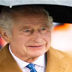King Charles' Response to Meghan Markle's Racism Claims Unveiled in New Book