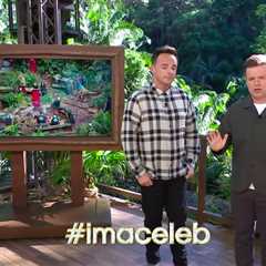 I’m a Celebrity’s Ant and Dec Address Jamie Lynn Spears’ Shock Exit