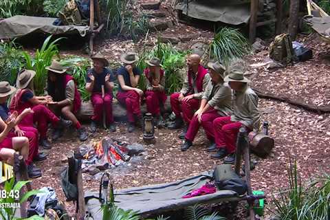 I’m A Celebrity’s Jungle Pizzeria: Nella Rose and Nigel Farage Face First Bushtucker Trial