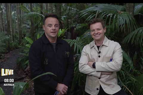 Ant and Dec Fear 'Alpha Clash' as New Campmates Enter I'm A Celeb Jungle