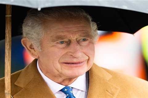 King Charles' Response to Meghan Markle's Racism Claims Unveiled in New Book