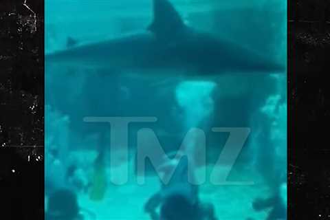 New Videos Show Atlantis Bahamas Shark Tank Two Days Before Child Attacked