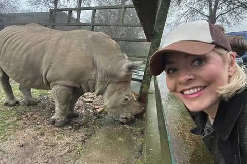 Inside Holly Willoughby’s incredible £1650 a night birthday safari trip – from LIONS to..