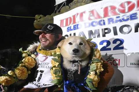 Dog sled racing champion disqualified over sexual assault allegations